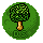 DS7